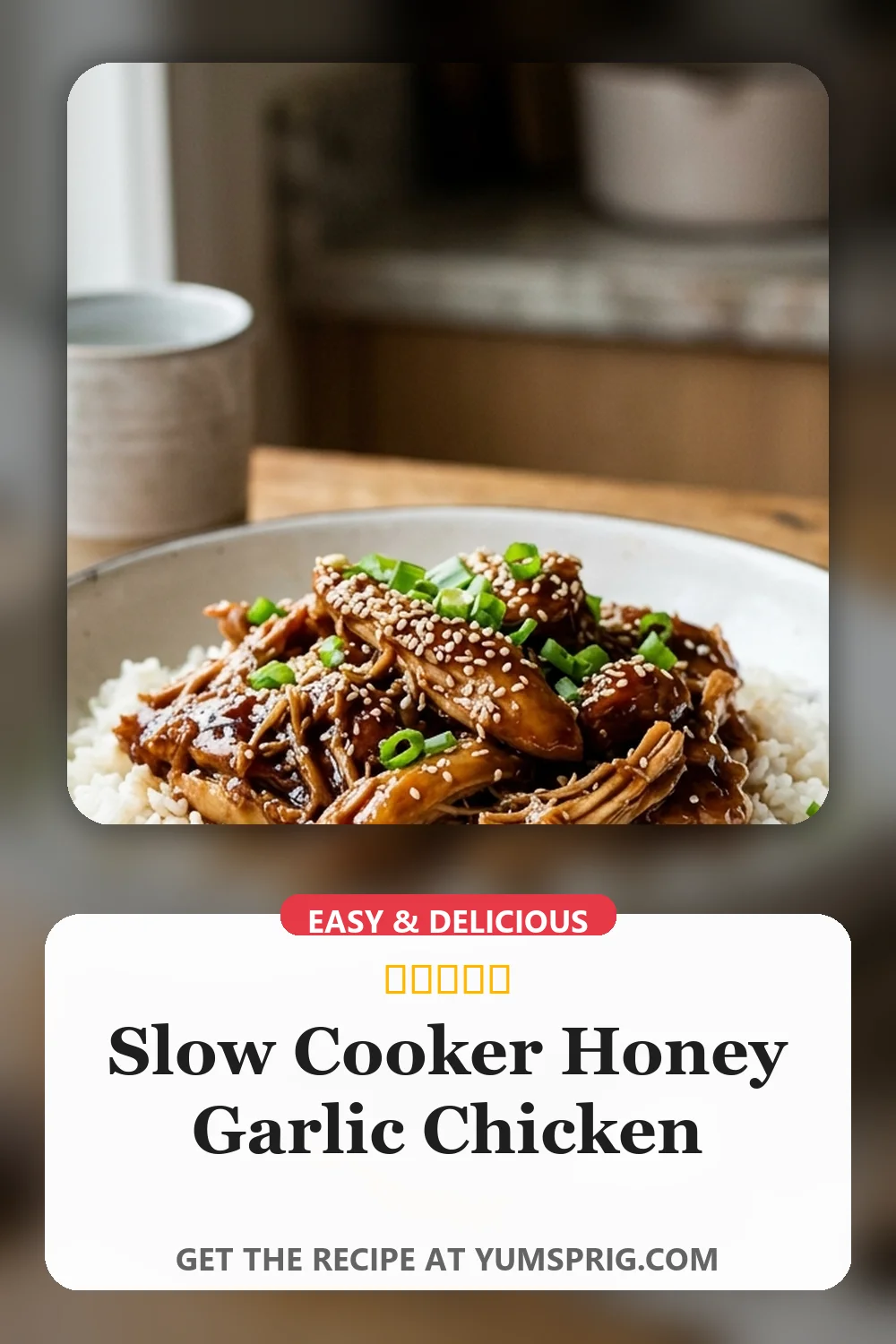 Slow Cooker Honey Garlic Chicken 3 Pin for later