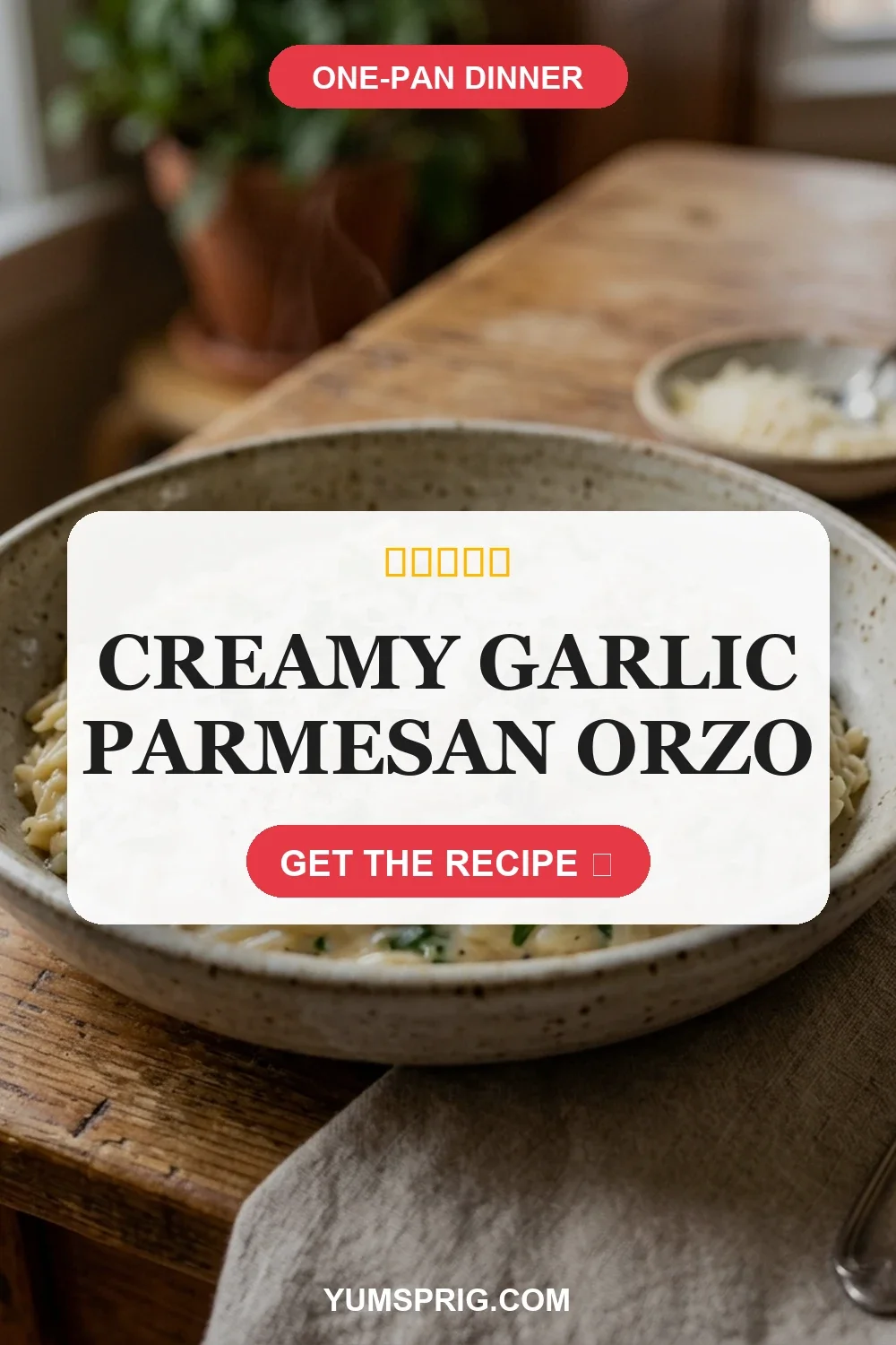 Creamy Garlic Parmesan Orzo 3 Pin for later