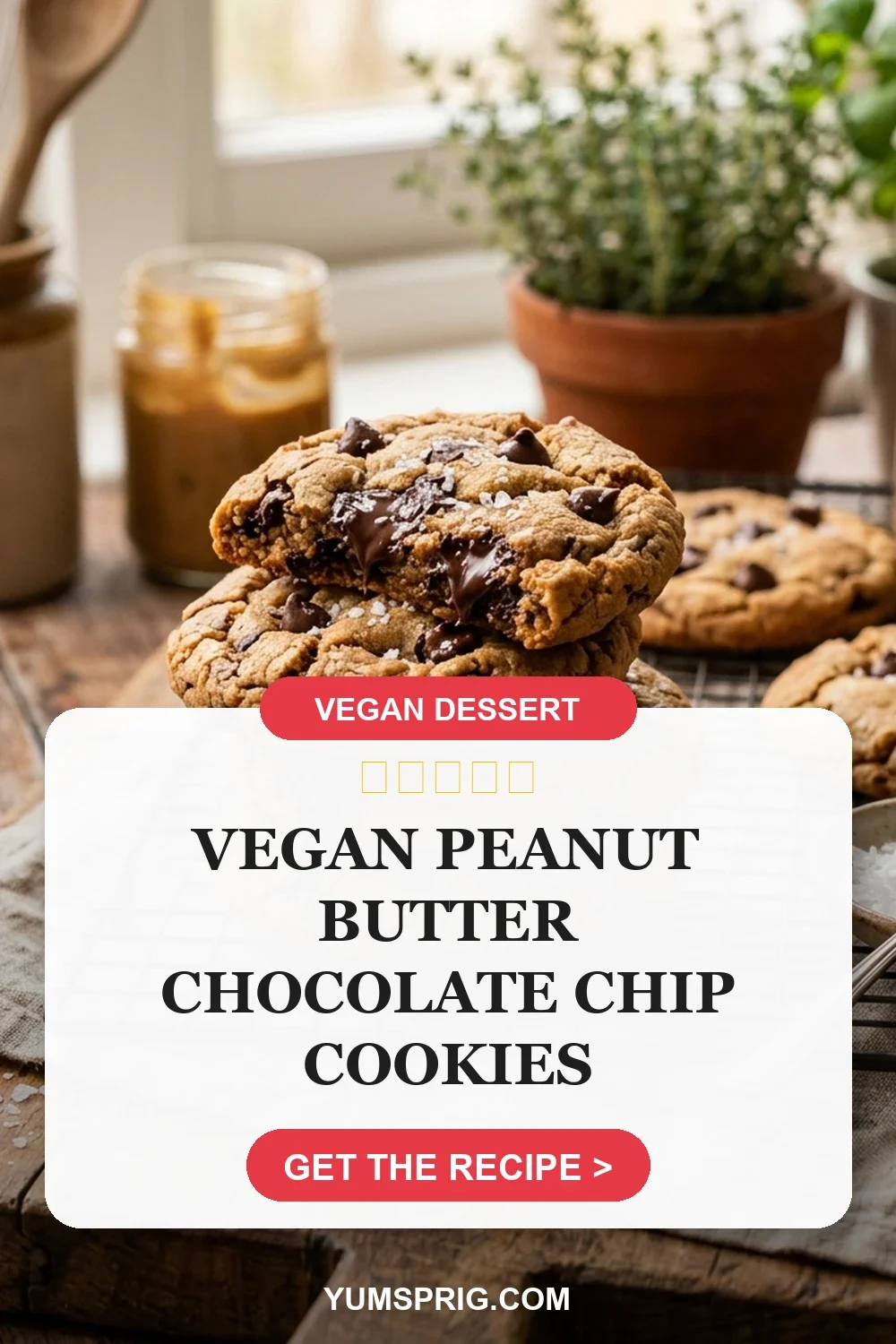 Vegan Peanut Butter Chocolate Chip Cookies 3 Pin for later