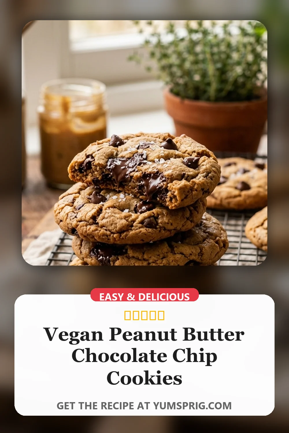 Vegan Peanut Butter Chocolate Chip Cookies 2 Pin for later