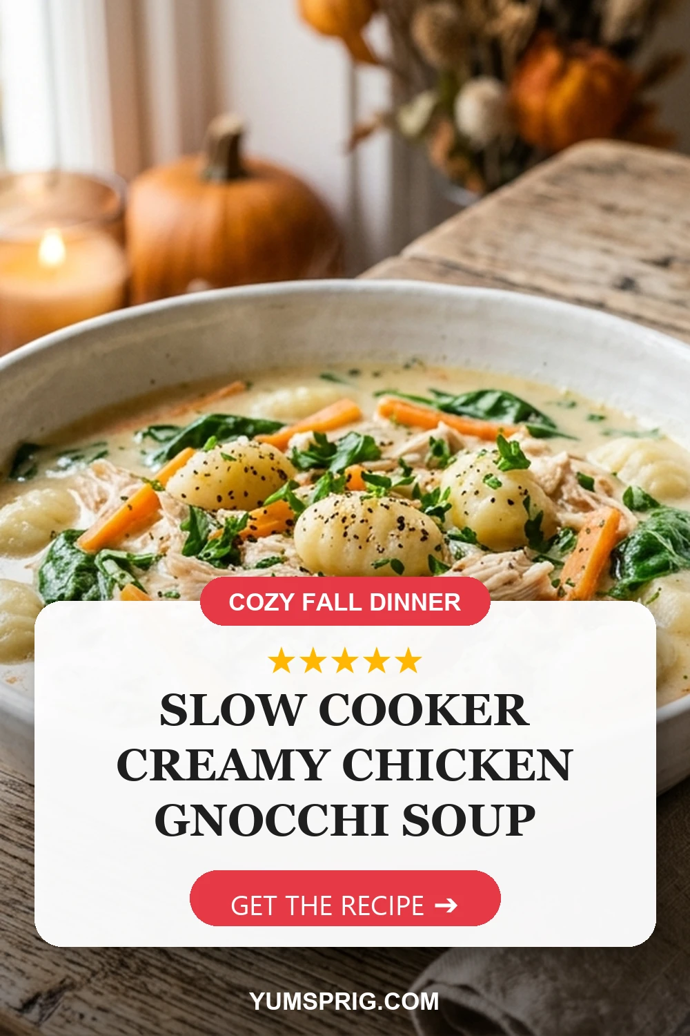 Slow Cooker Creamy Chicken Gnocchi Soup